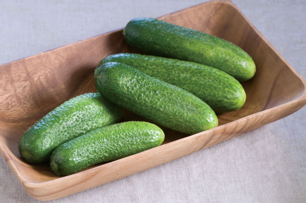 Harmonie – Cucumber Seed